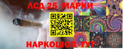 гидропоника Новокубанск