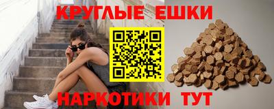 гидропоника Новокубанск